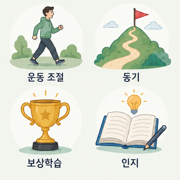 도파민이 운동 조절과 동기, 보상학습, 인지 등 여러 기능에 관여함을 보여주는 그림