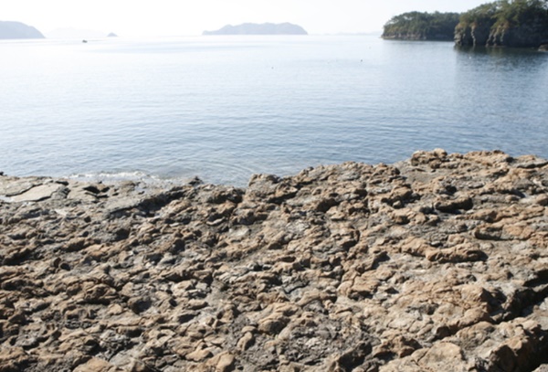 고성 가볼만한곳