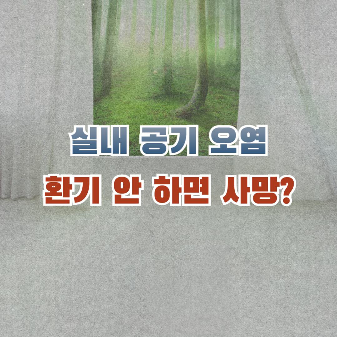 실내 공기 오염 환기 안 하면 사망 썸네일