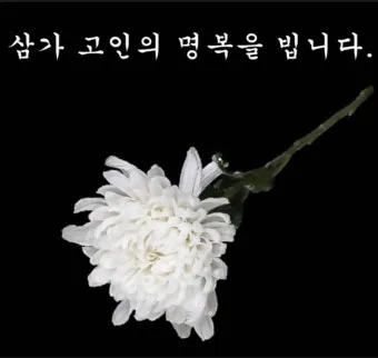 삼가고인의명복을빕니다의 뜻과 띄어쓰기 한문 표기_9