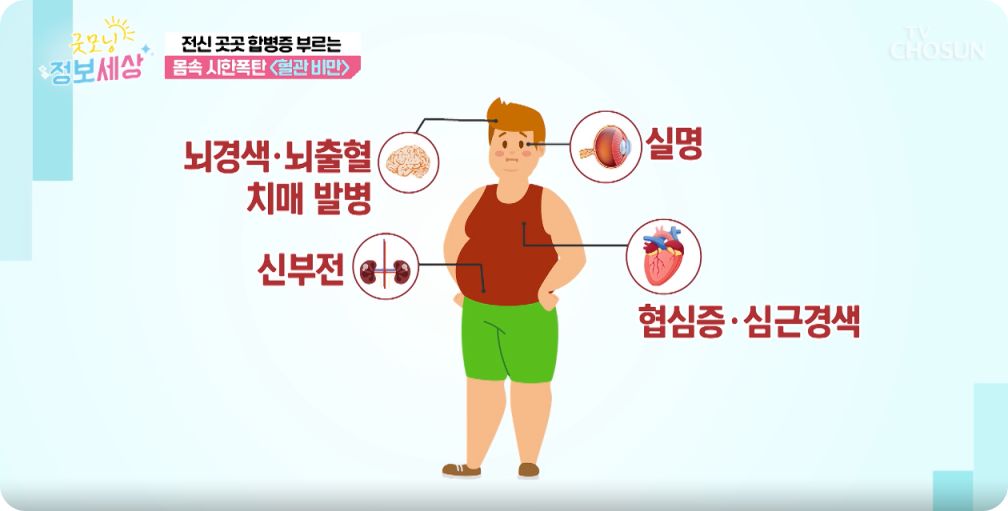 tv조선 굿모닝 정보세상 구기자효능