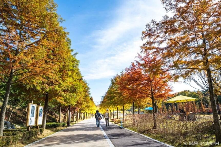 논산 가볼만한곳 베스트 10