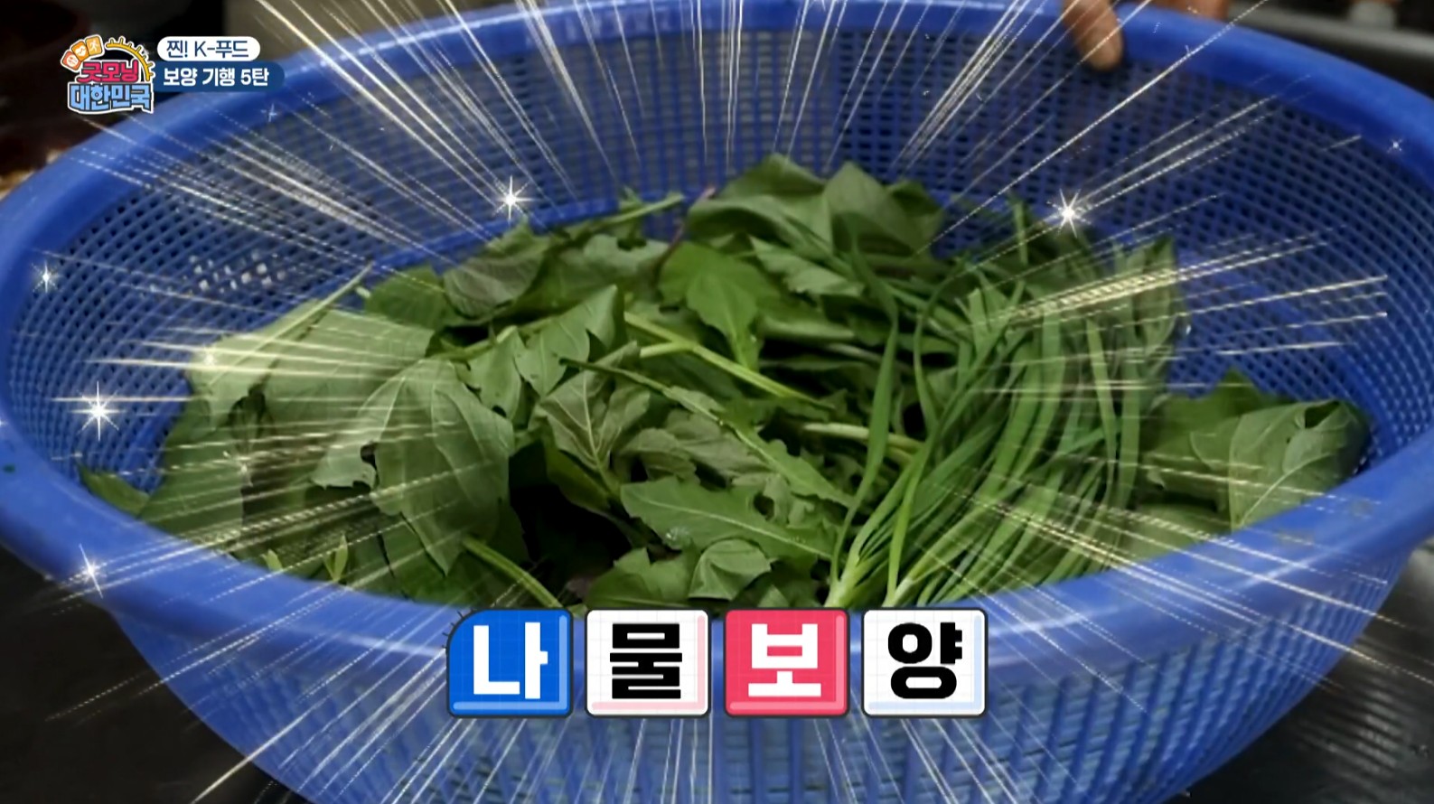 직접 채취한 나물