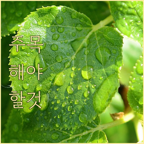 상생페이백 연동 오류? 시스템 점검 ..