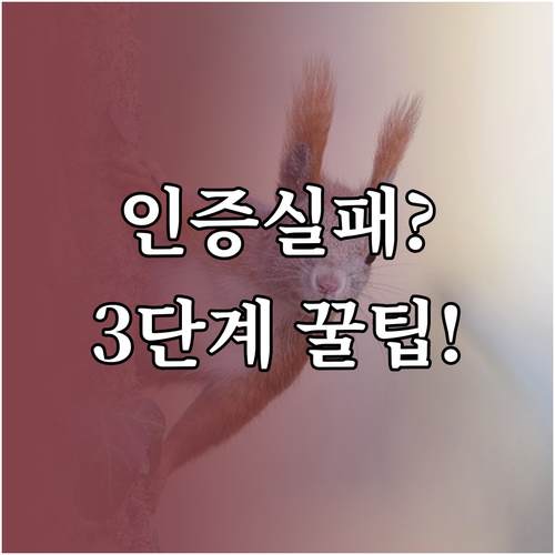 당근마켓 지역 인증 정확도 높이는 3..
