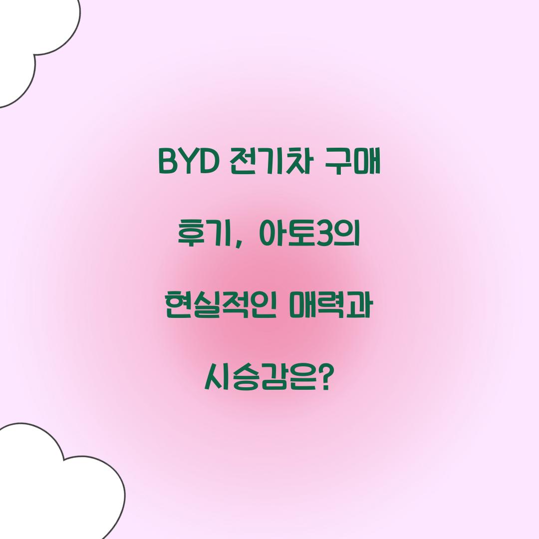 BYD 전기차 구매 후기