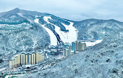 전국 스키장 개장일 2024-2025