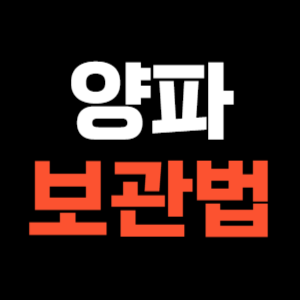 양파 보관법