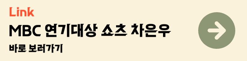 2024 mbc 연기대상 쇼츠 차은우 영상 바로보기