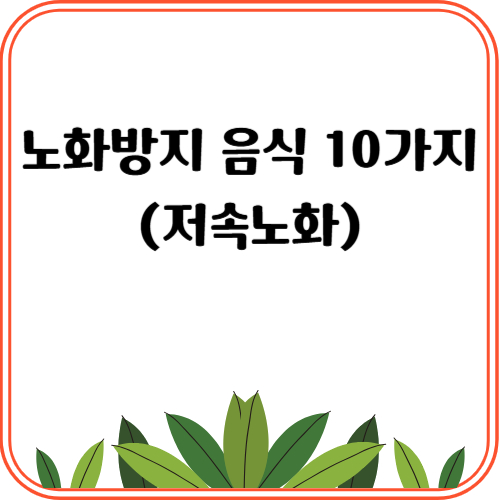 노화방지 음식 10가지(저속노화)
