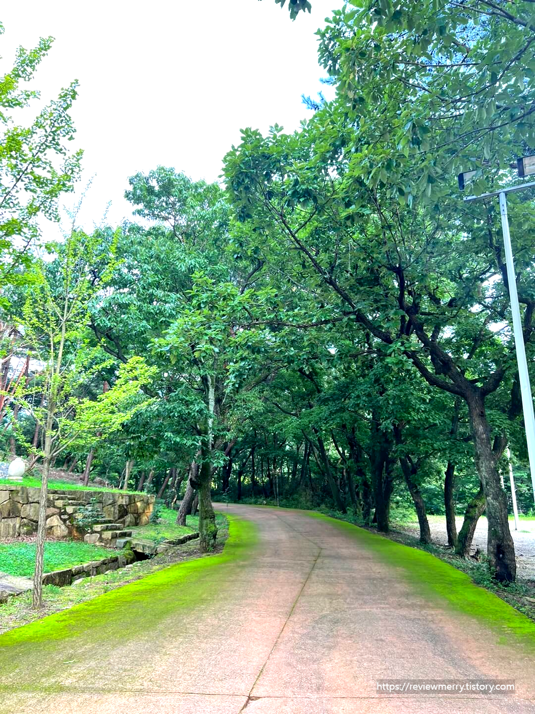 사찰 들어가는 길