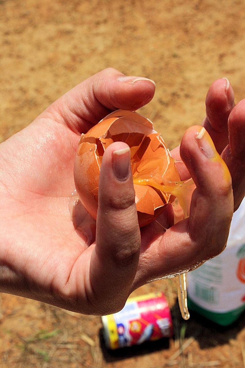 '음식물 쓰레기, 줄일 수 있습니다'에 대한 사진