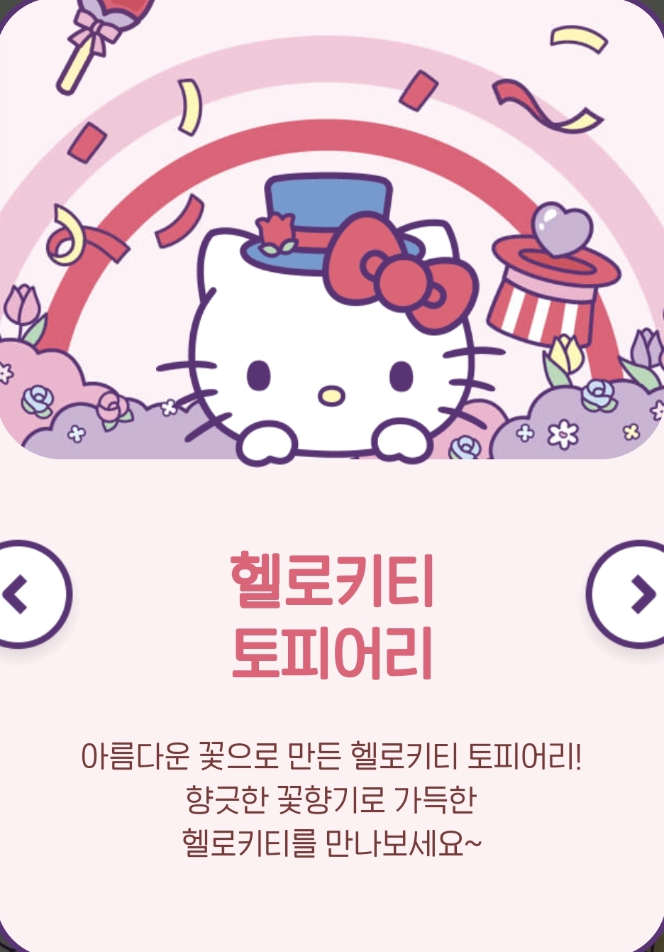 에버랜드 산리오 튤립축제