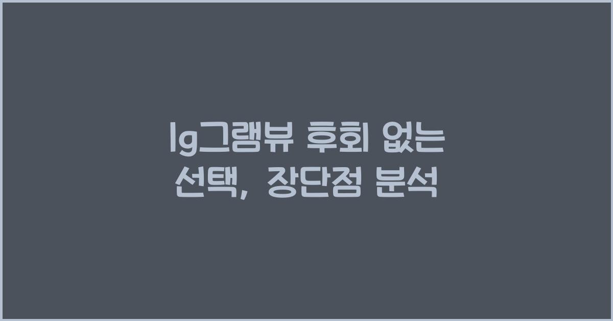 lg그램뷰