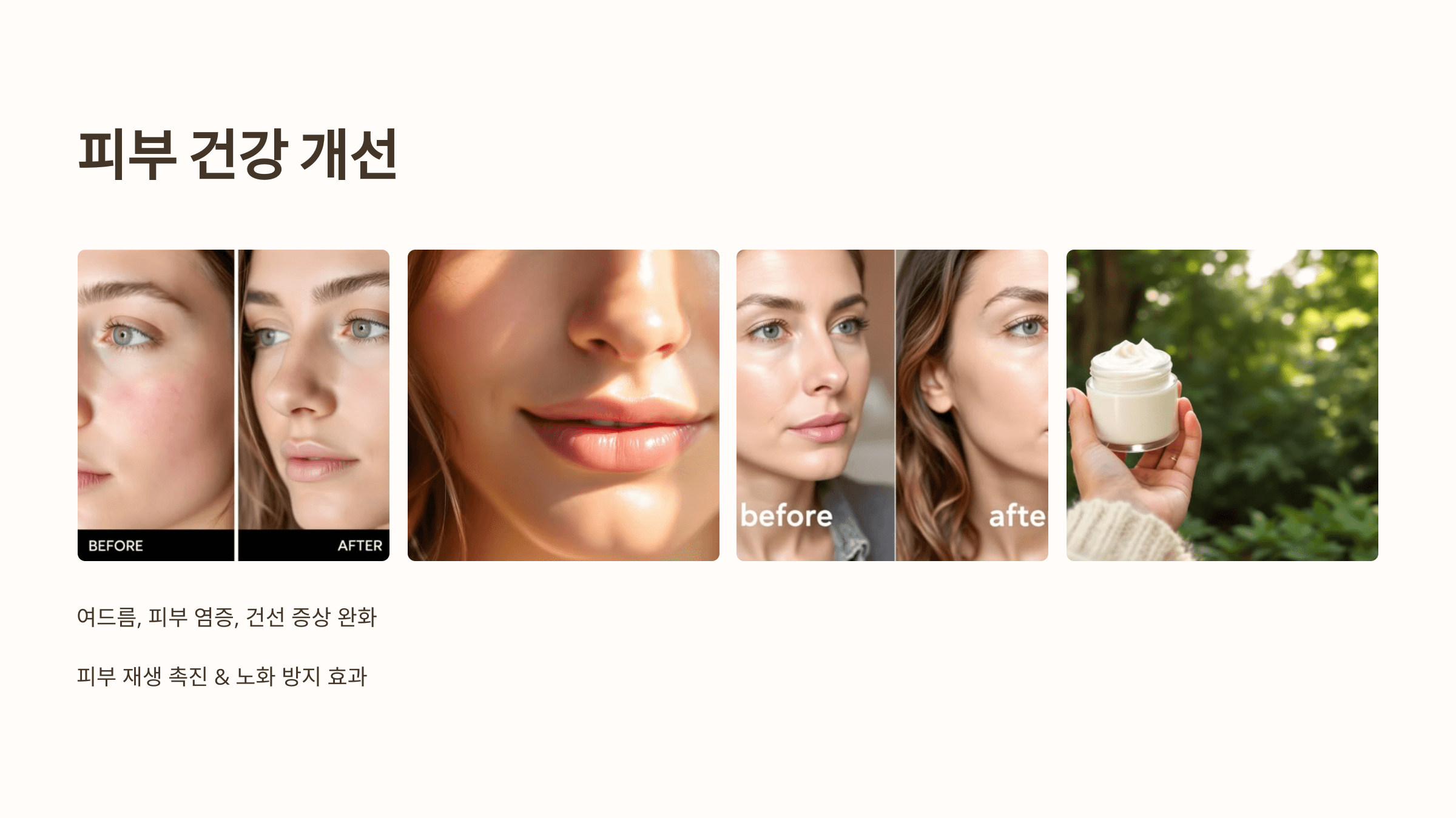 보스웰리아와 관련된 사진입니다.