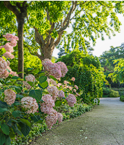 화담숲 예약 할인