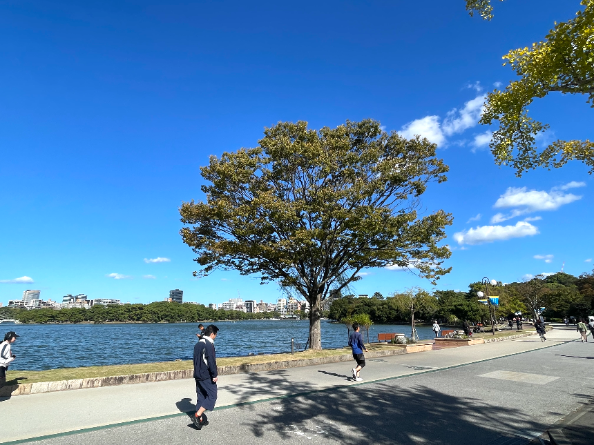 후쿠오카 미술관 파란하늘