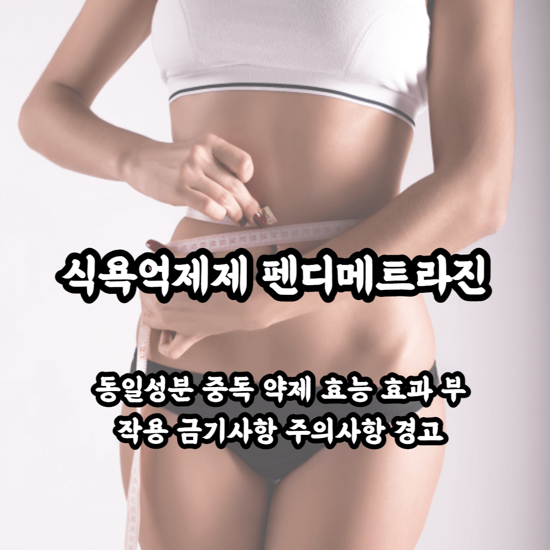 식욕억제제 펜디메트라진 동일성분 약제 및 효능 효과 부작용 금기사항