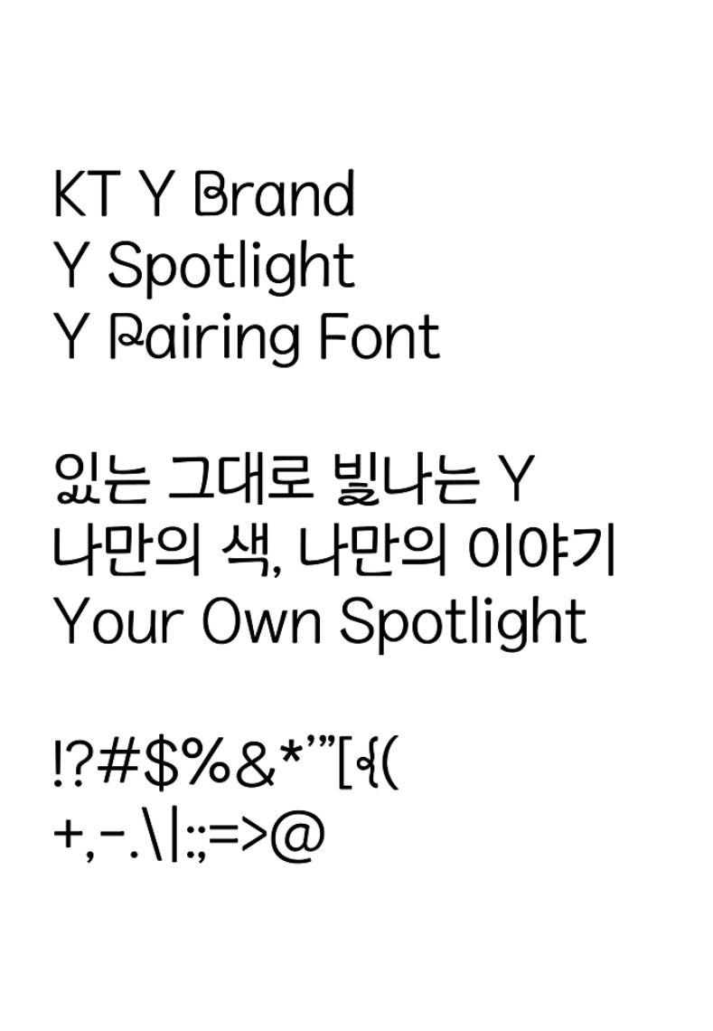 Y페어링체 R