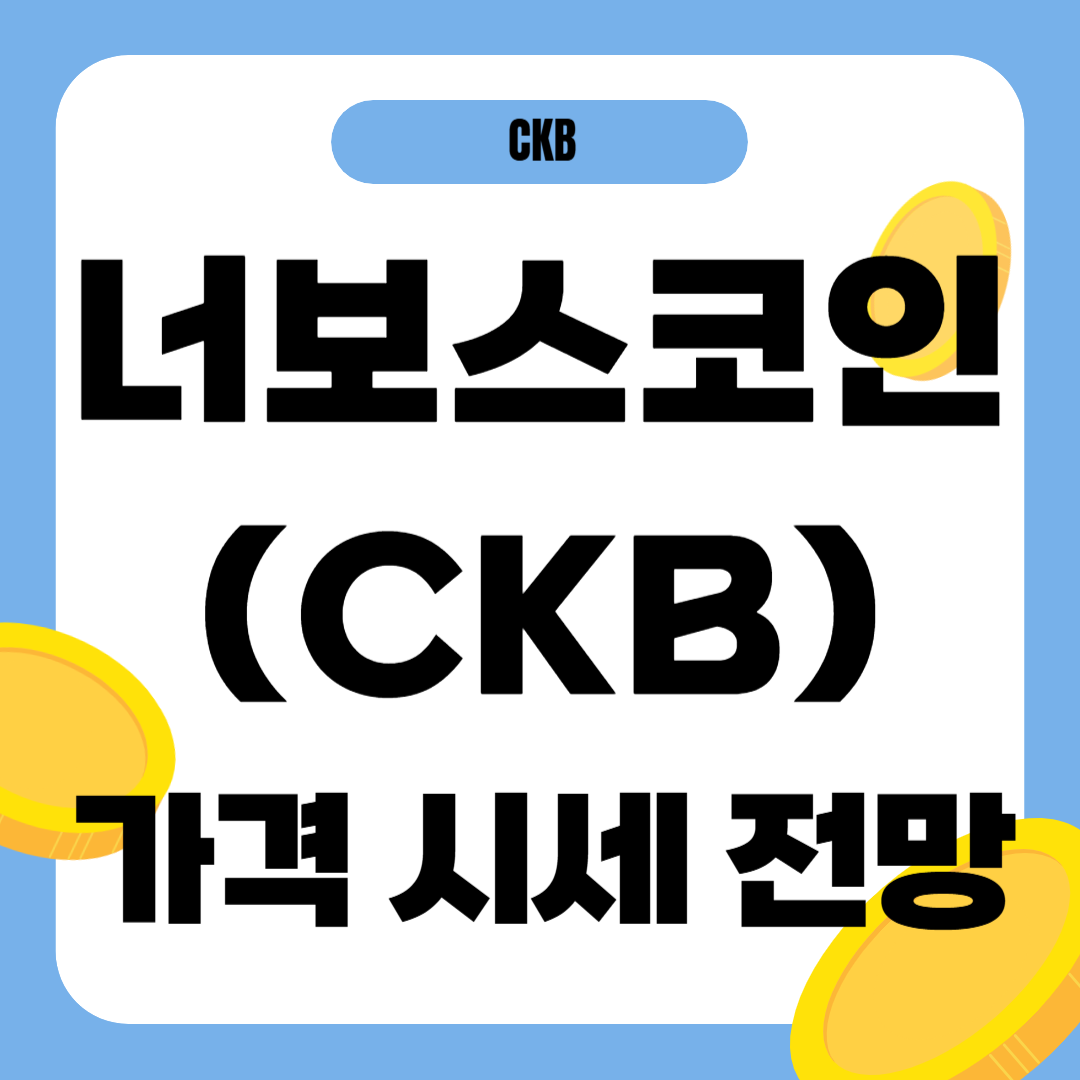 너보스 코인 가격 전망