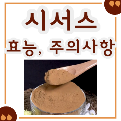 시서스 효능