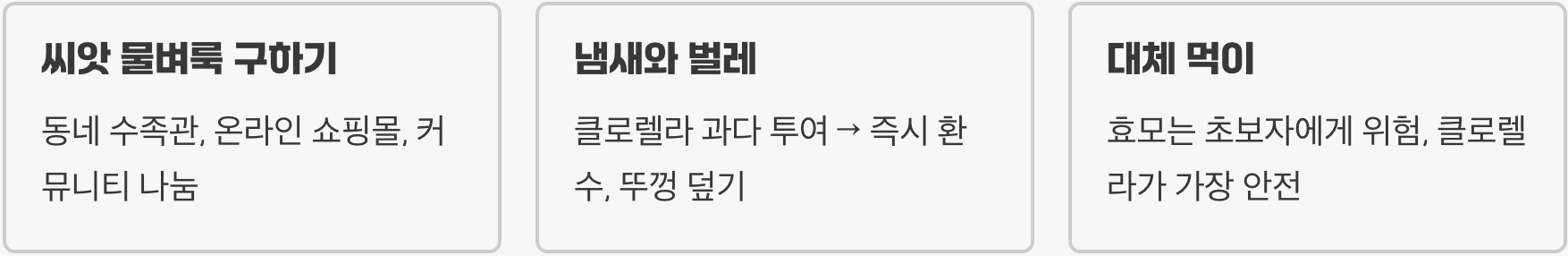 물벼룩 배양, 집에서 무한 리필하는 방법 A to Z