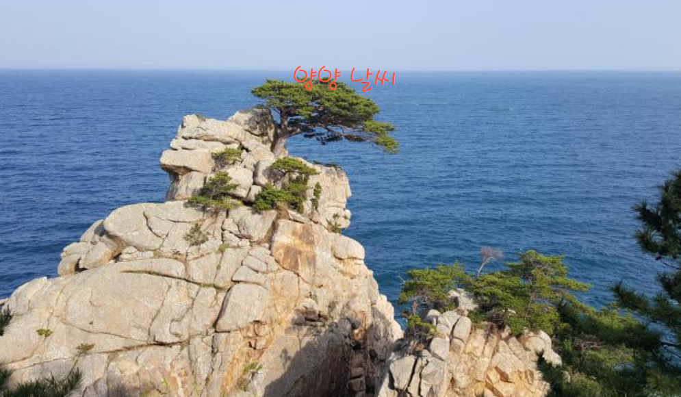 양양
