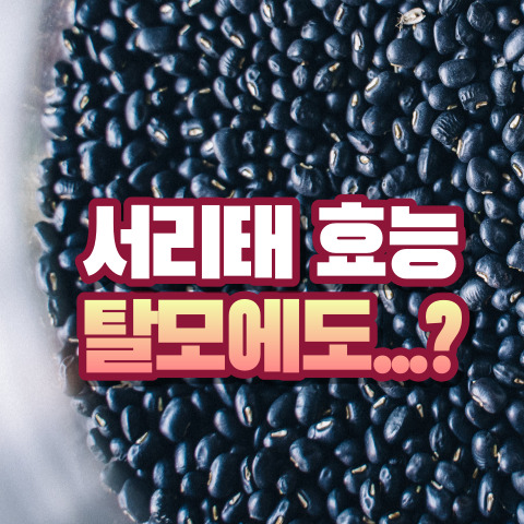 서리태 효능