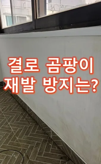 곰팡이 방지 제습 환기와 가구 띄우기 실내 온습도 관리_15