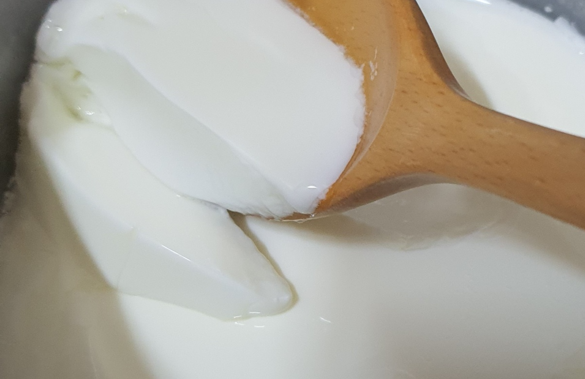 발효가 끝나 순두부 모습으로 떠지는 요거트