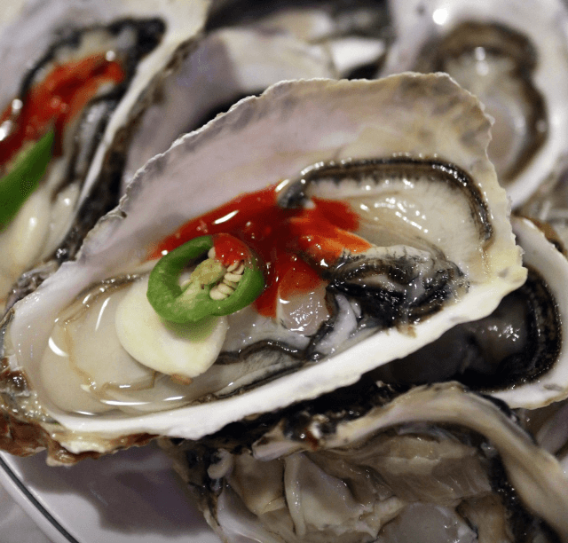 생방송투데이 과메기 경북 포항 맛집 정보