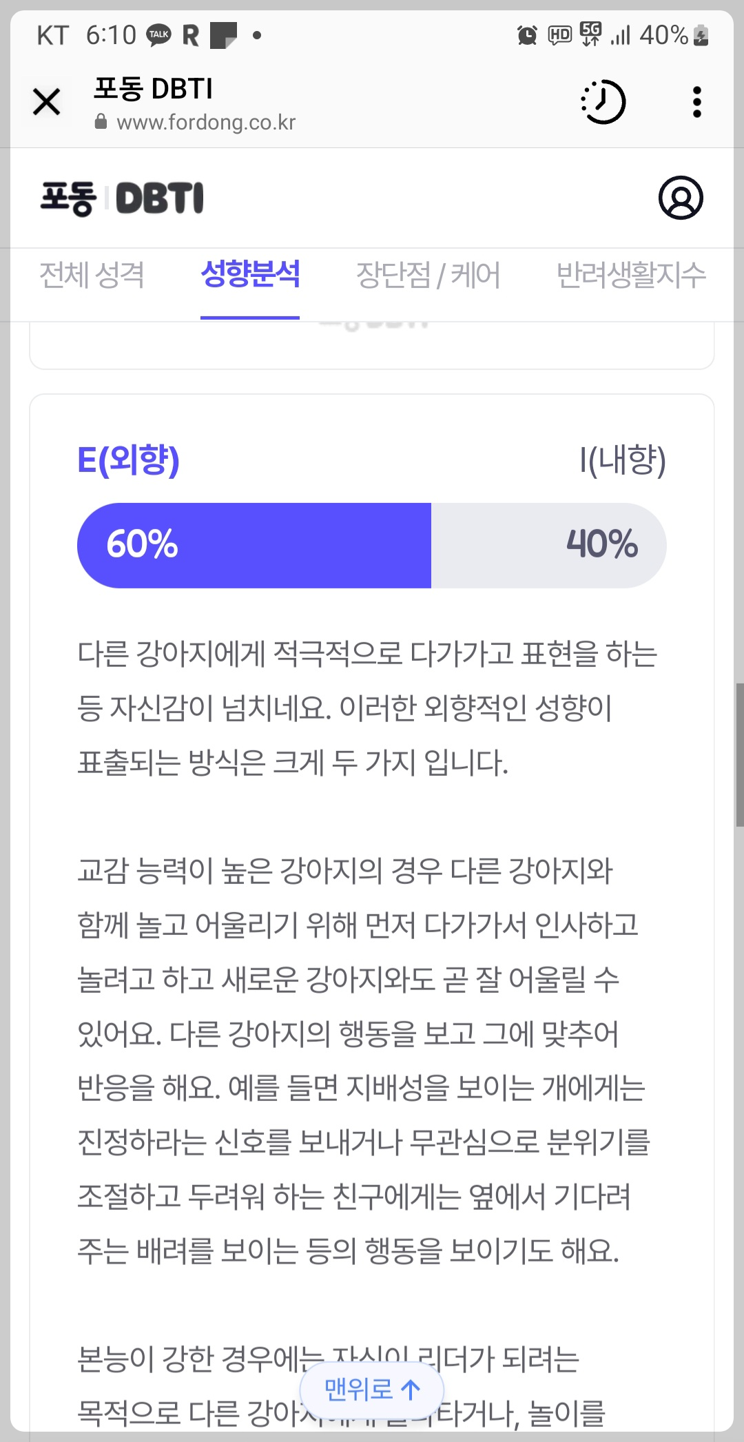 애견 강아지 MBTI 애견 DTBI 반려견성격 무료로 알아보세요