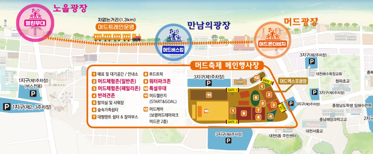 보령머드축제