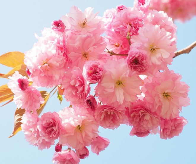 서울 근교 1시간 여행지 추천 │ 당일치기 힐링 코스 TOP 5