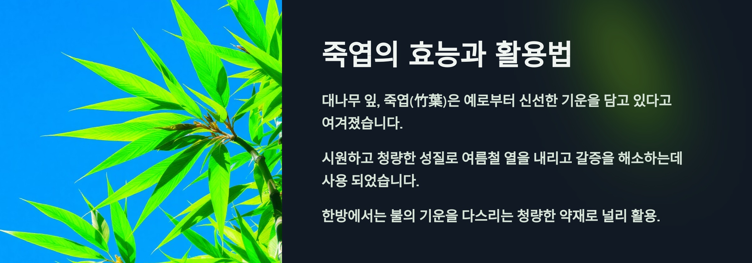 죽엽