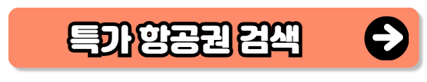 저렴하게 떠나는 해외여행 : 땡처리 항공권 인기 노선 BEST 5