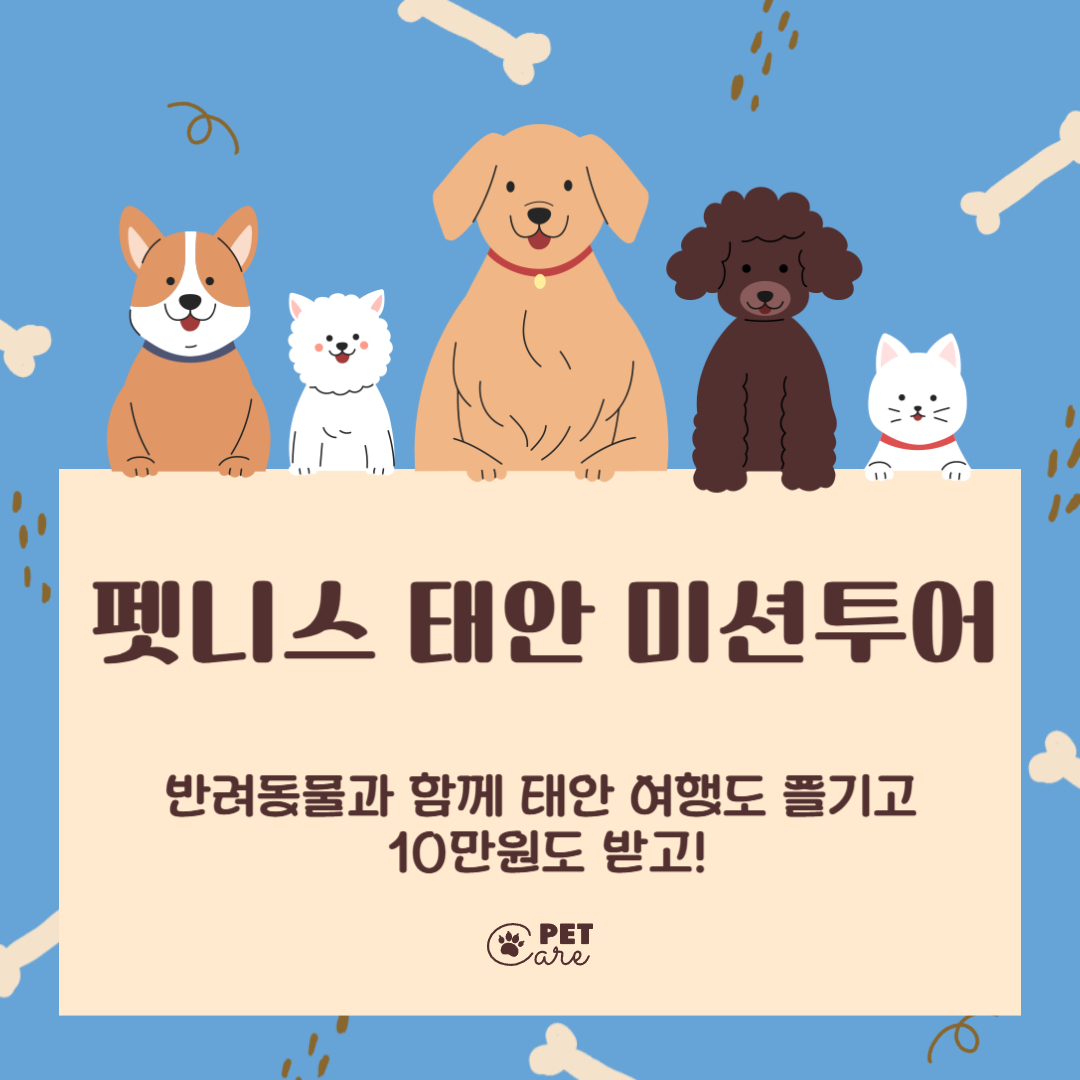 펫니스 태안 미션투어 라고 써있는 이미지