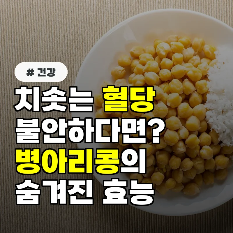 치솟는 혈당 때문에 불안하다면...병아리콩의 숨겨진 효능과 섭취법