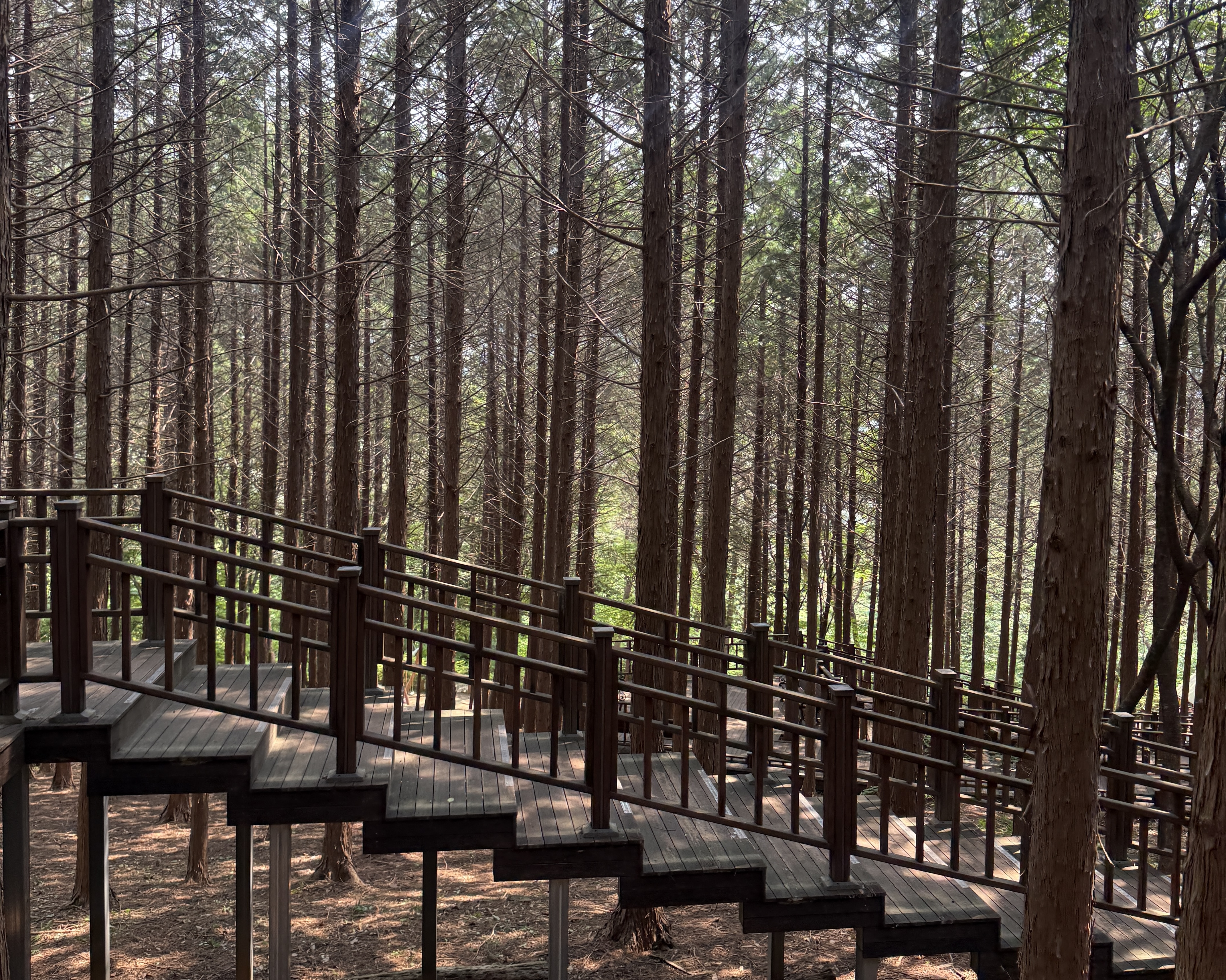 수만리생태숲공원