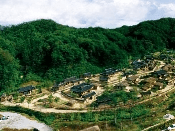 단풍여행 1박2일 버스 단풍구경