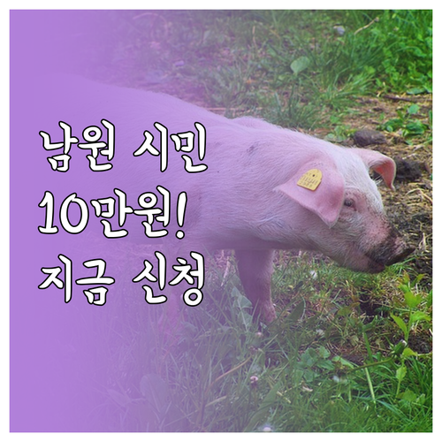 남원시 민생지원금 지급 안내 대상 금..
