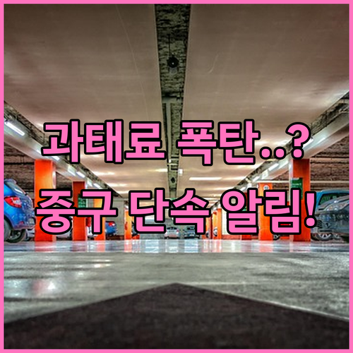 울산 중구 주정차 단속 알림 문자 등..