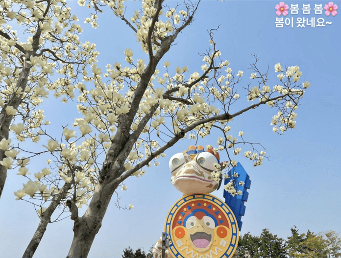 제주도 1박2일 봄 여행 - 도민 추천 숨은 명소 총정리