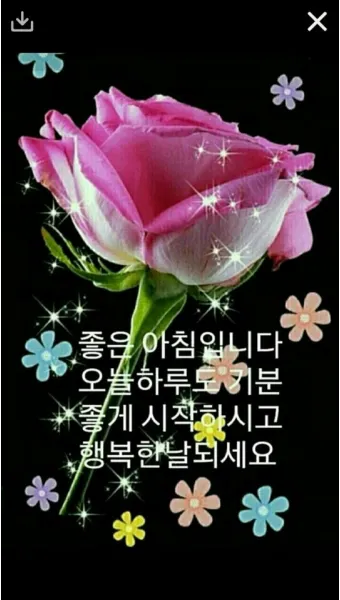 아침 인사로 좋은 글 이쁜글 기분좋은 인사말_11