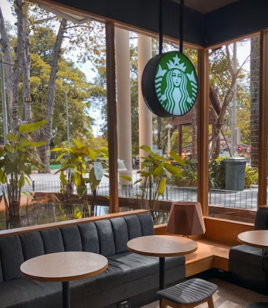 스타벅스 창업에 대하여 알아보기