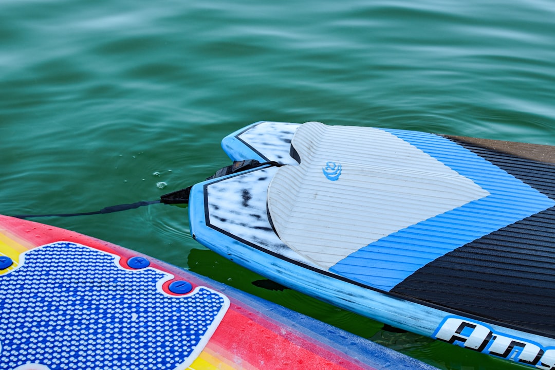 Floating vest