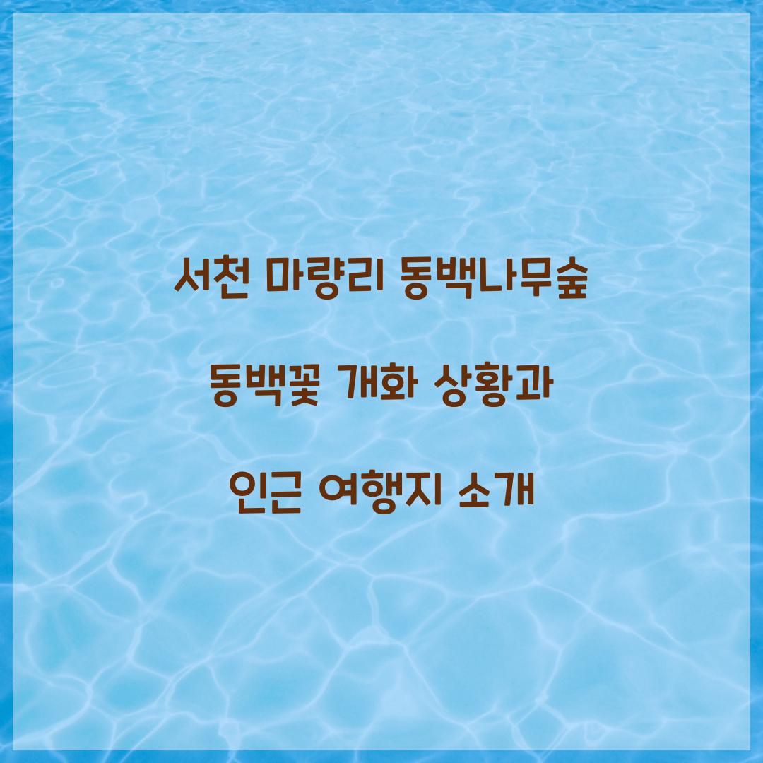 서천 마량리 동백나무숲 동백꽃 개화 상황