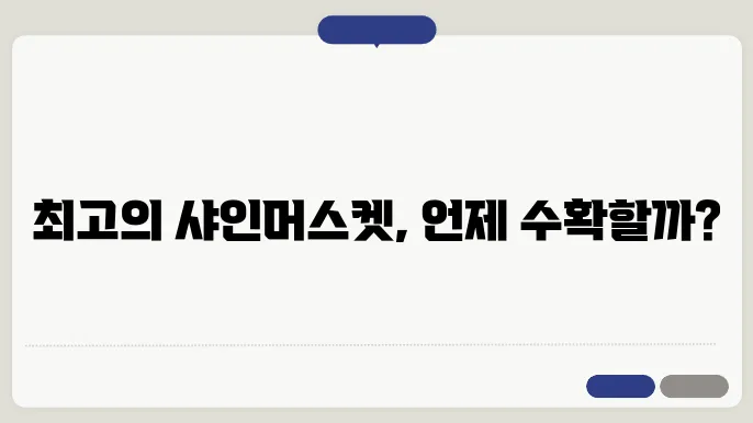 샤인머스켓 수확 단계 확인하기