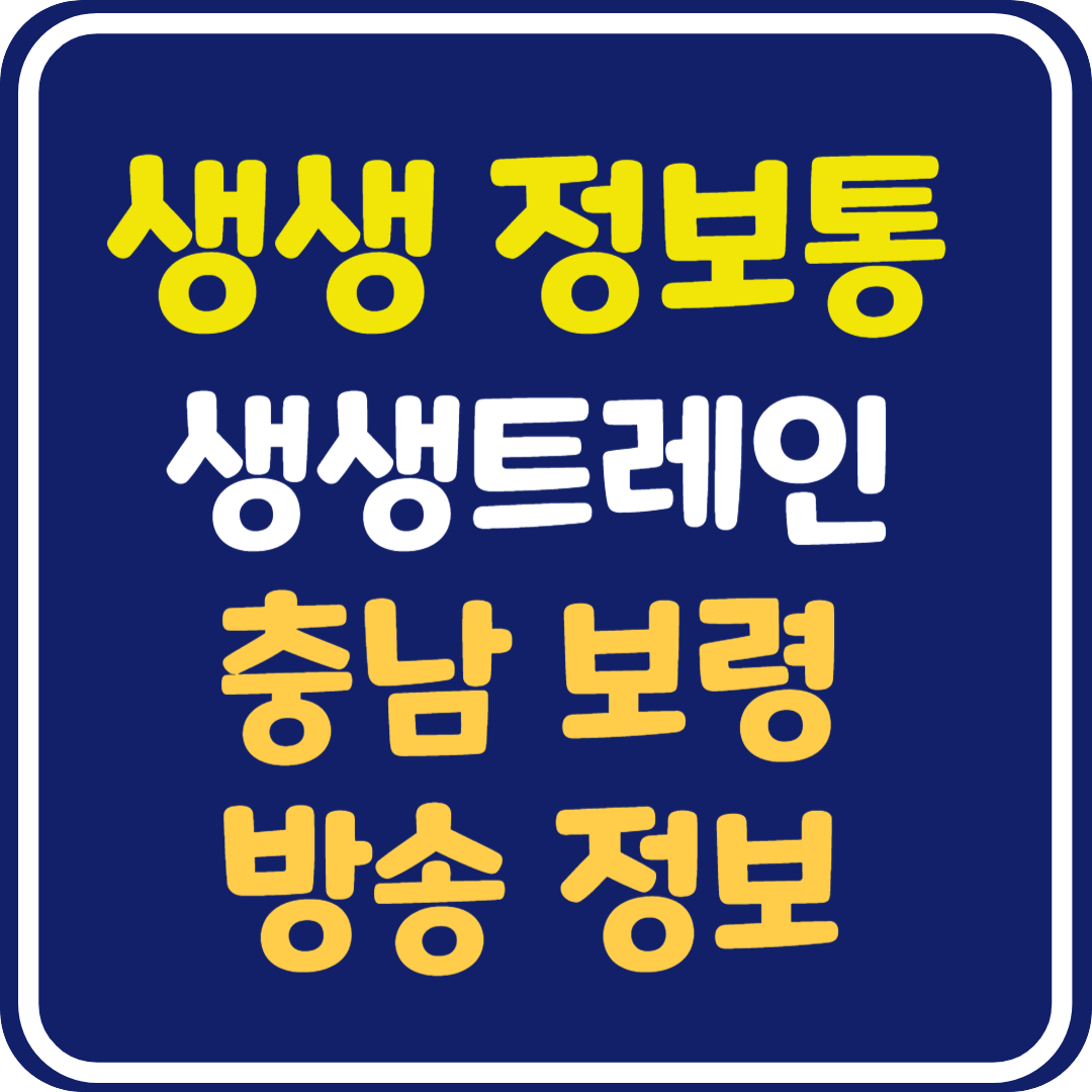 생생 정보통 충남 보령 건어물, 회센터, 짚트랙, 스카이바이크 정보 안내 : 생샌트레인