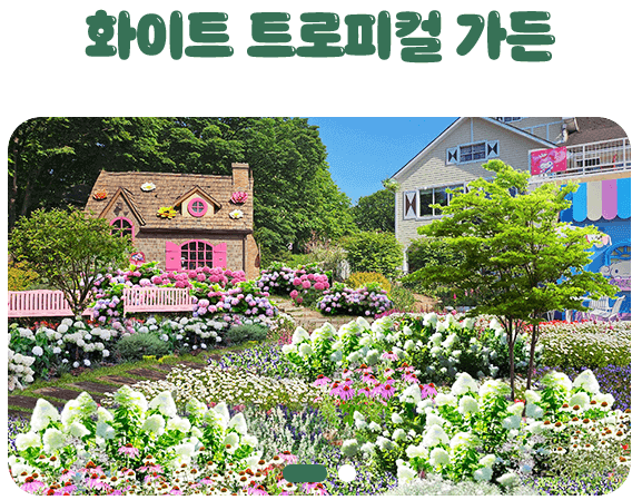 화이트 트로피컬 가든